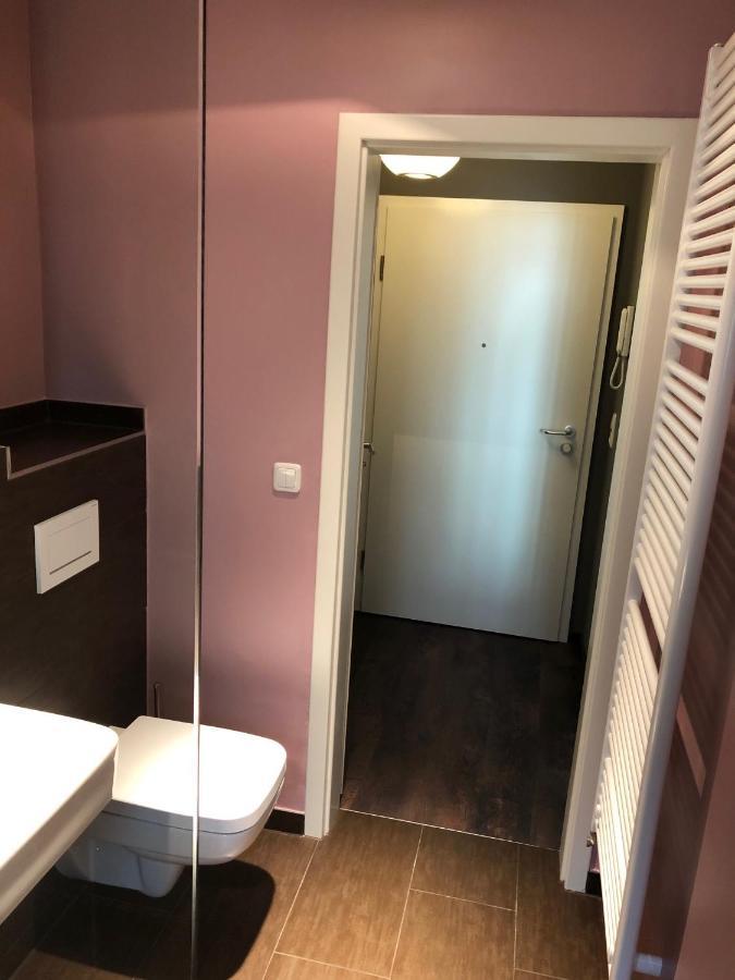 Studio Apartment In Dresden-Neustadt Екстер'єр фото