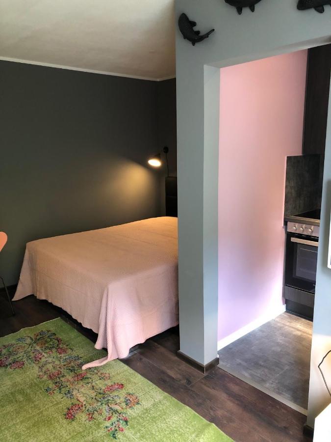 Studio Apartment In Dresden-Neustadt Екстер'єр фото